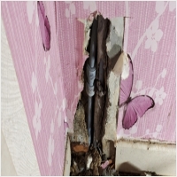 누수탐지 PC 갤러리 6