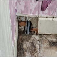 누수탐지 PC 갤러리 17